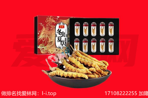 嘉兴市平湖回收虫草.jpg